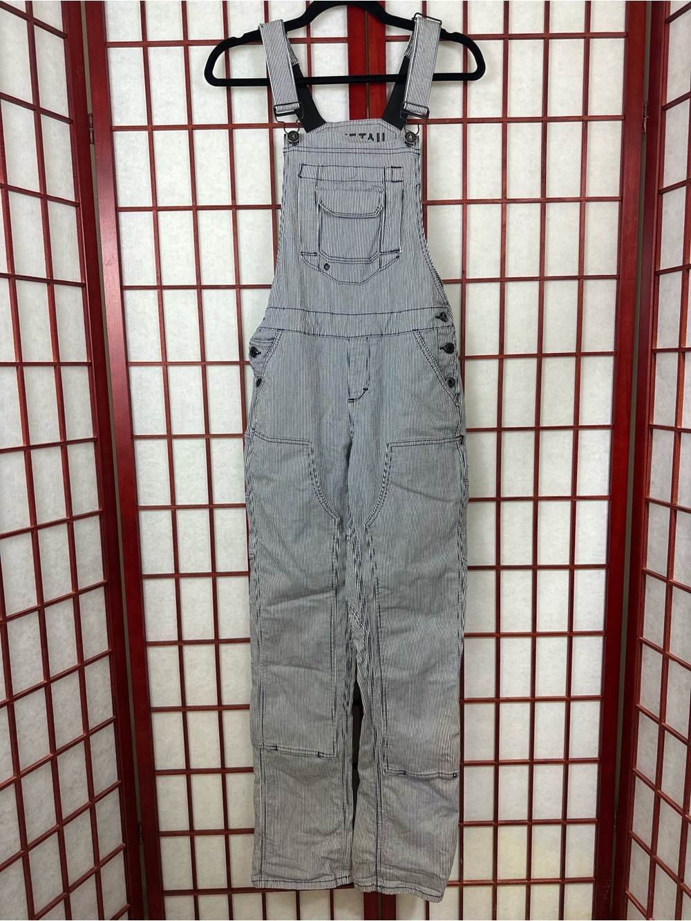 Dovetail Workwear Womens Gorpcore Striped Conductor Overalls
